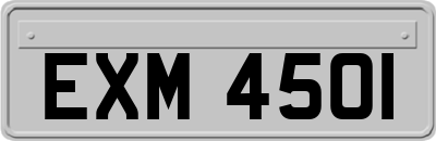 EXM4501