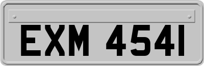 EXM4541