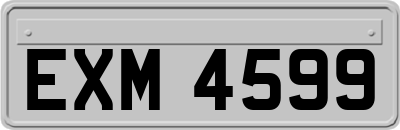 EXM4599