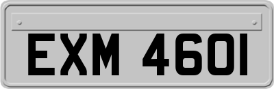 EXM4601