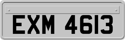 EXM4613