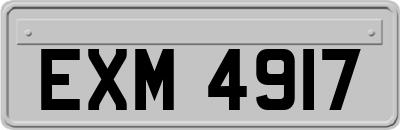 EXM4917