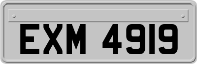 EXM4919