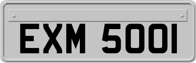 EXM5001