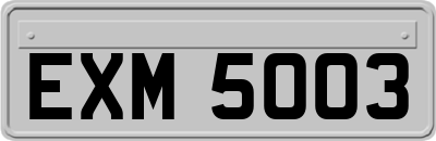 EXM5003