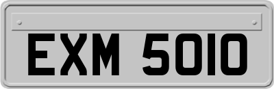 EXM5010