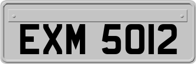 EXM5012