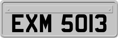 EXM5013