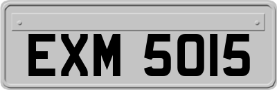 EXM5015