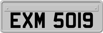 EXM5019