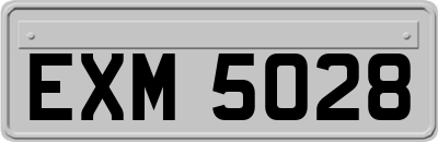 EXM5028