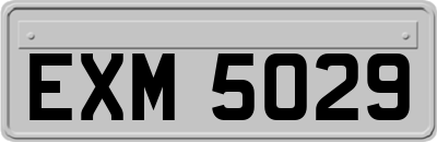 EXM5029