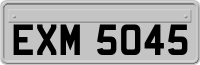 EXM5045