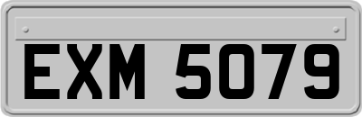 EXM5079