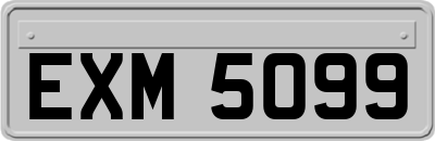 EXM5099