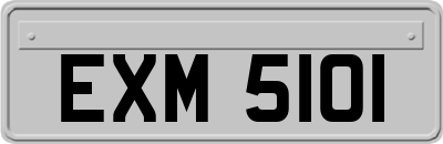 EXM5101