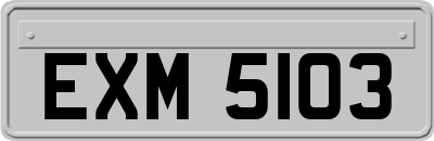 EXM5103