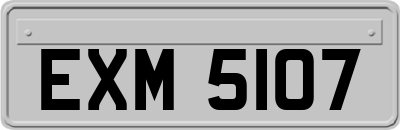 EXM5107
