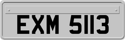 EXM5113