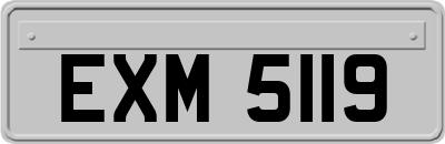 EXM5119