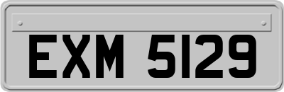 EXM5129