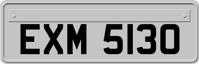 EXM5130