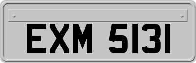 EXM5131
