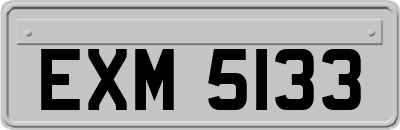 EXM5133