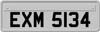 EXM5134