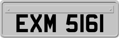 EXM5161