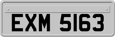 EXM5163