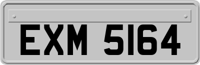 EXM5164