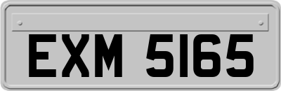 EXM5165