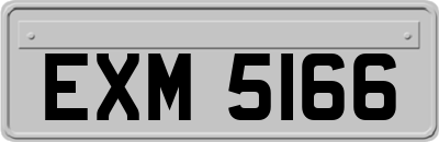 EXM5166