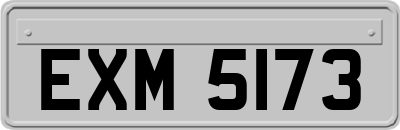 EXM5173