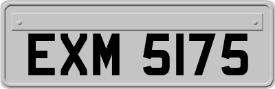 EXM5175