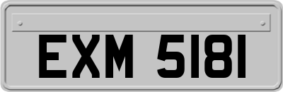 EXM5181