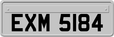 EXM5184