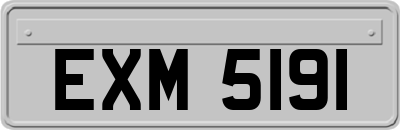 EXM5191