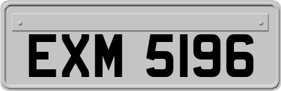 EXM5196
