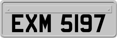EXM5197