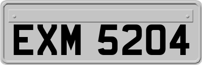EXM5204