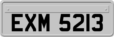 EXM5213