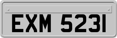 EXM5231