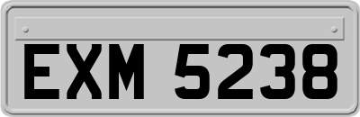 EXM5238