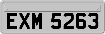EXM5263