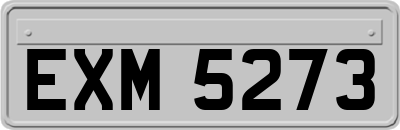 EXM5273