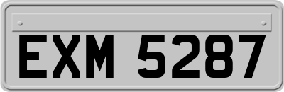 EXM5287