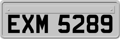EXM5289