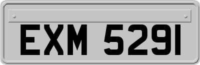 EXM5291